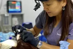 avianSrvPic2